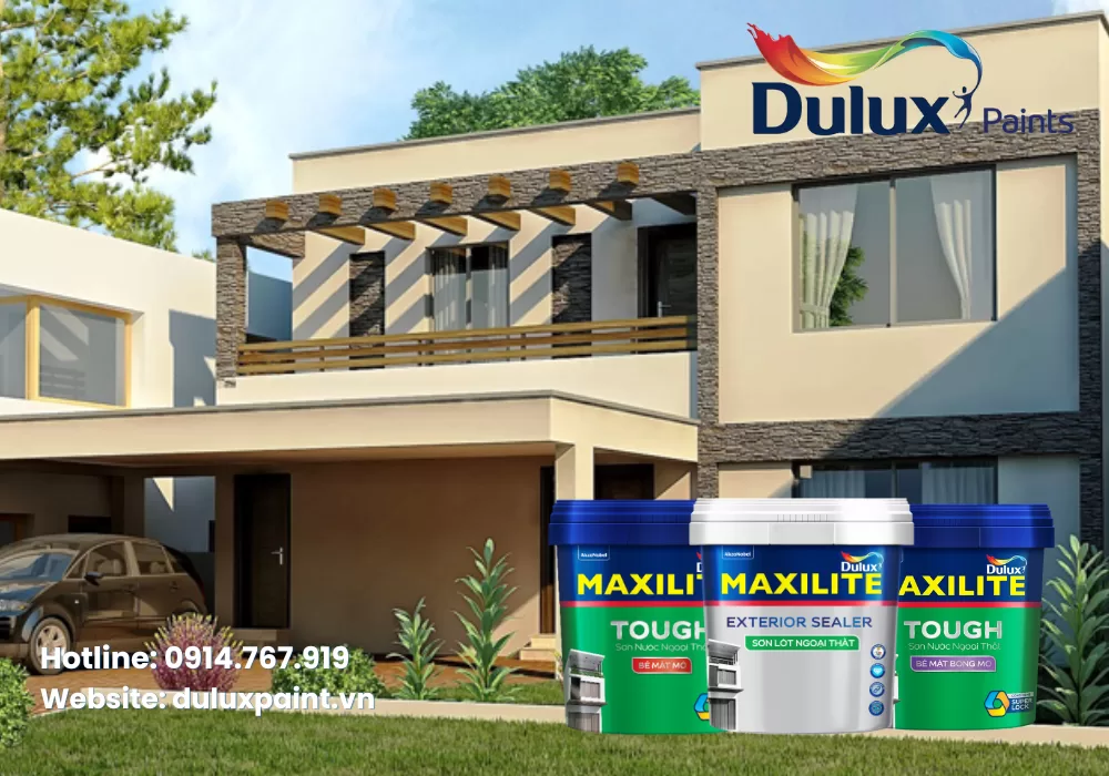 sơn maxilite