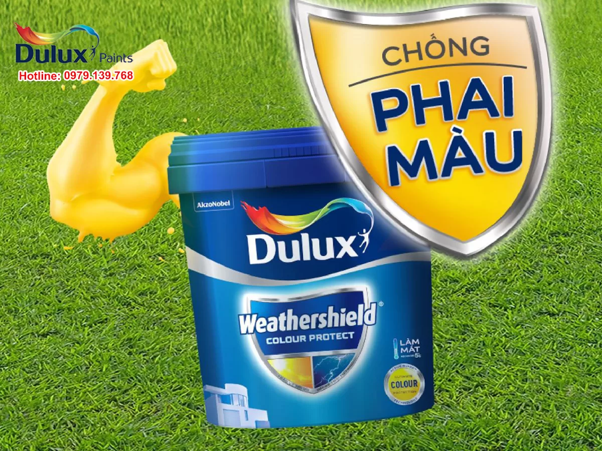 Hướng dẫn chi tiết cách nhận biết sơn Dulux thật chuẩn nhất - ảnh đại diện copy 2