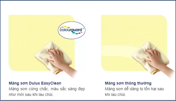 Độ bền màu cao