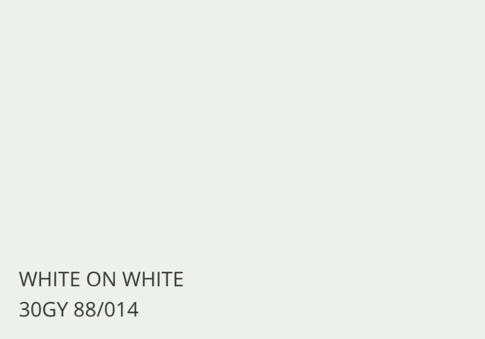 màu sơn Dulux White on White