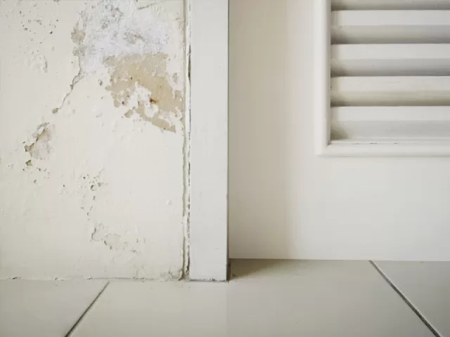 bề mặt sơn bị bong tróc