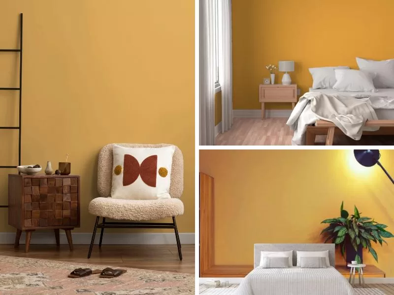 Sơn nhà màu vàng đất