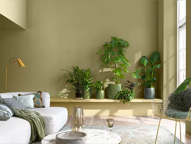 Xanh lá mạ / vàng chanh