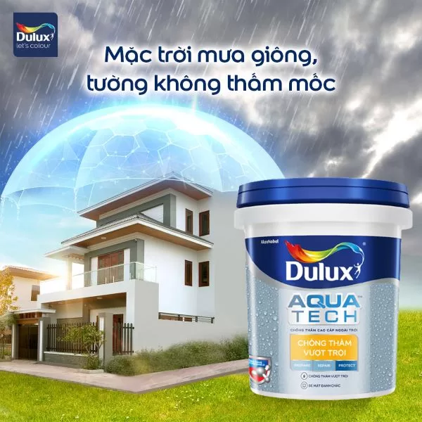 Sơn chống thấm tường Dulux Aquatech chống thấm vượt trội Y65 pha xi măng