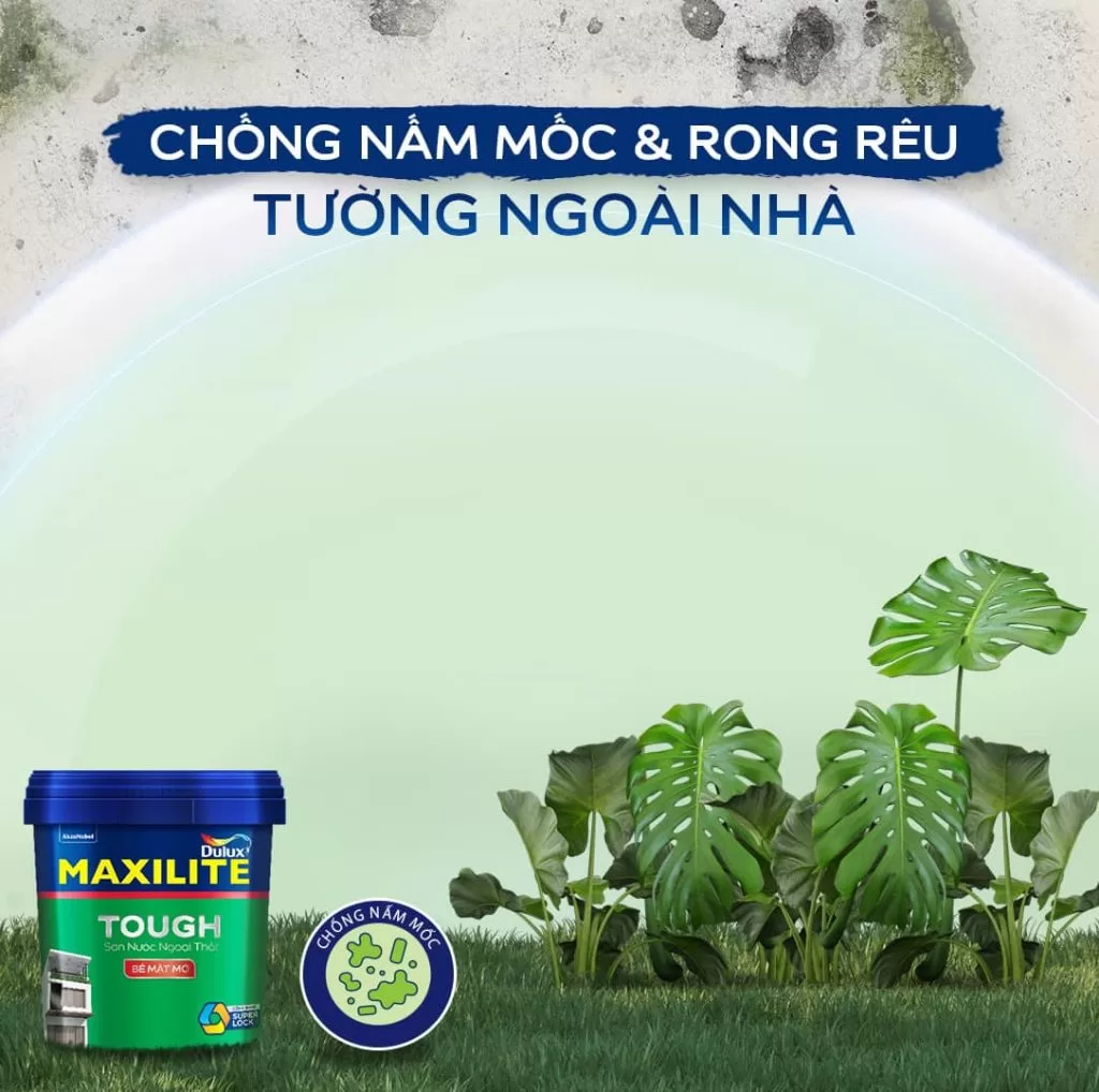 Sơn Maxilite có tốt không? Maxilite Tough