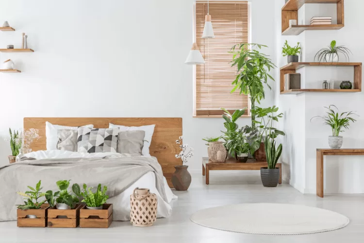 Phối màu trắng với xanh lá