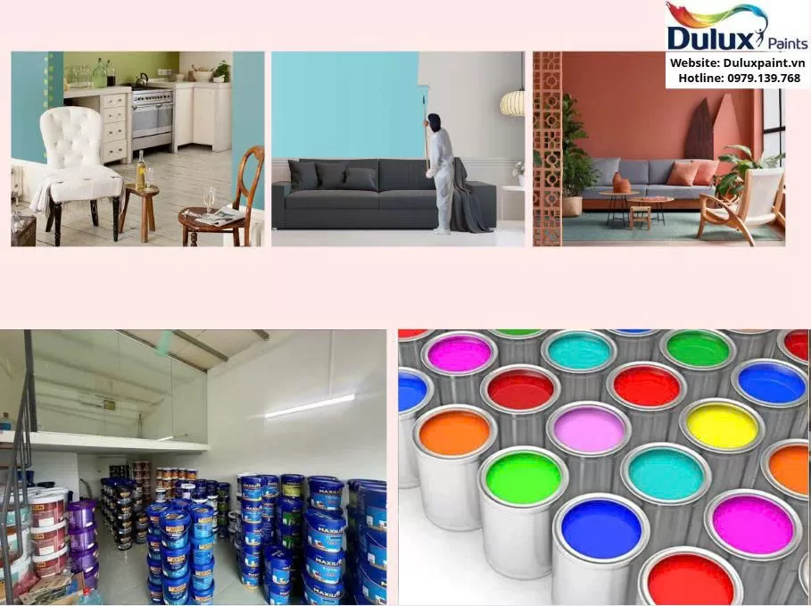 Đại lý sơn Maxilite Tịnh Anh cung cấp những gì