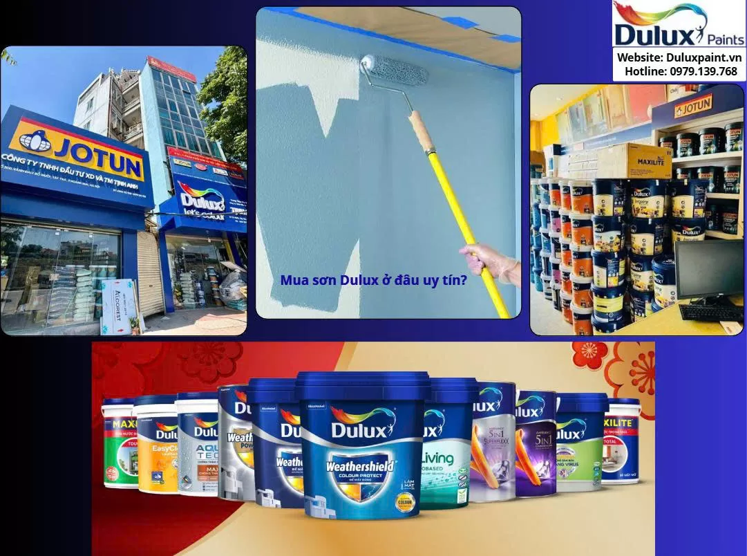 Mua sơn Dulux ở đâu uy tín?